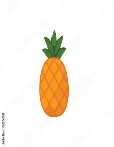 vector illustration of an orange fruit