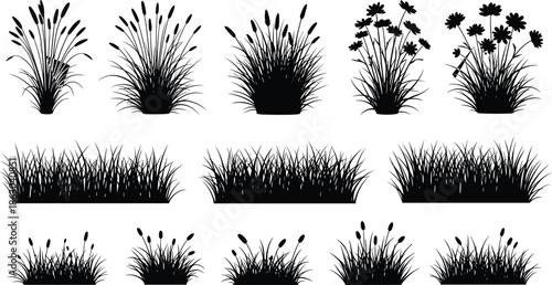 Set of black grass and reed silhouettes, wild marsh cattail clumps, nature field background, cad drawing flat vector illustration
