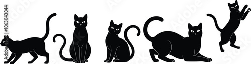 Complete collection of black cat silhouettes featuring various feline poses including walking sitting stretching and playing for pets and animal lovers designs