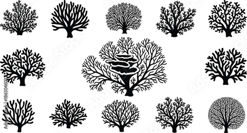 Complete collection of coral reef silhouettes featuring various underwater sea plants marine flora and ocean life elements for conservation and aquatic designs