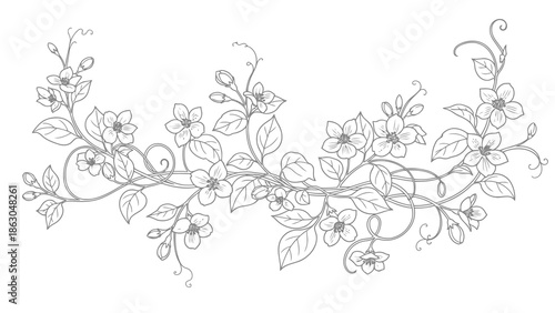 Beautiful floral vine illustration on white background
