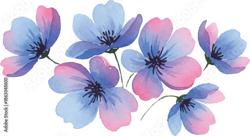 Vibrant flowers in full bloom against a clean white background