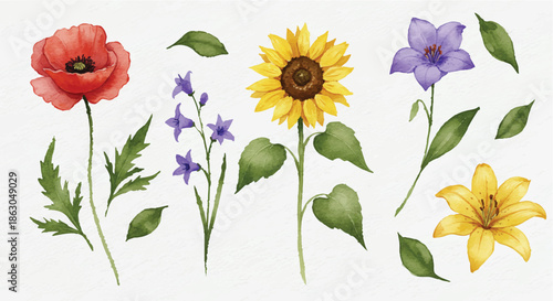 A collection of colorful flowers including poppy, sunflower, and lilies in a serene botanical illustration