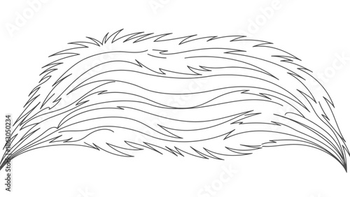 Beautiful feather illustration on white background