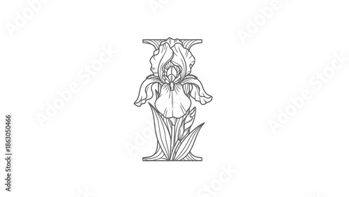 Beautiful iris flower line art