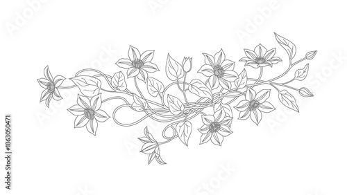 Elegant floral vine illustration on white background