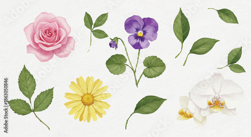 Assorted flowers and leaves arranged in a decorative pattern on a white background
