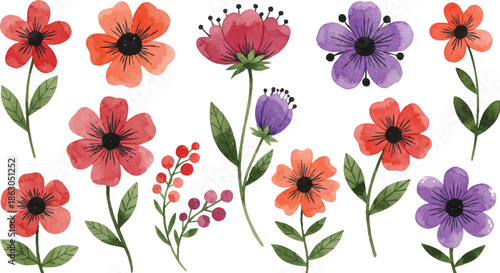 A colorful bouquet of flowers in full bloom viewed from directly above