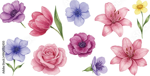 Vibrant flowers arranged in a colorful bouquet on a clean white background