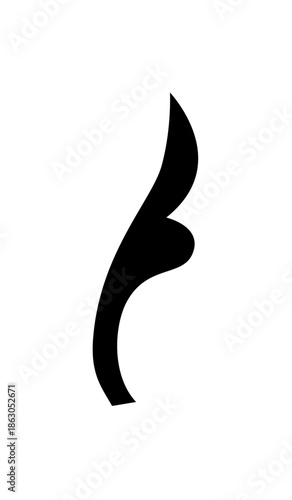 Elegant Black Scroll Flourish Design Element on Isolated White Background