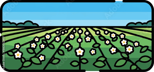 Blooming field under a blue sky