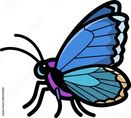 Blue and purple butterfly illustration with detailed wings
