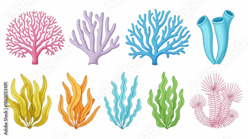 Colorful Underwater World Coral Reef and Seaweed Collection with a Variety of Shapes