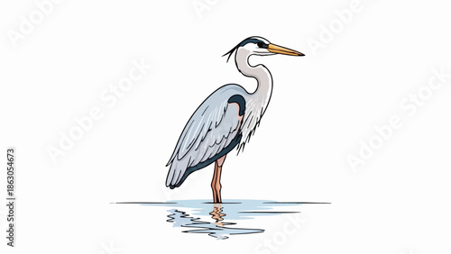 Elegant heron stands in shallow water, its reflection shimmering