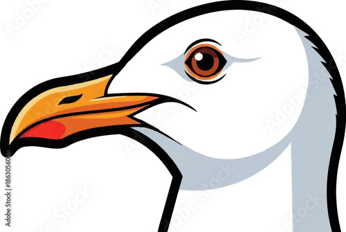 Close-up vector illustration of a seagull's head with a bright orange beak and dark brown eye