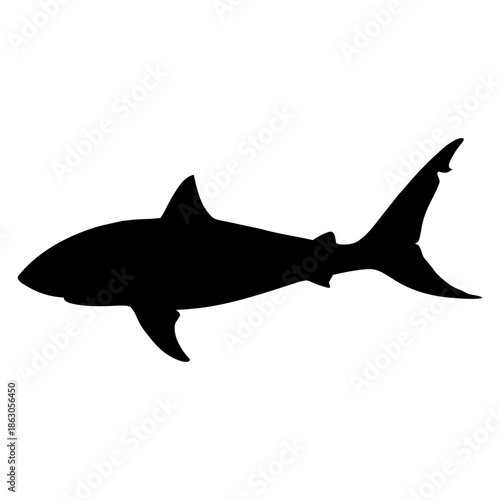 Silhouette shark