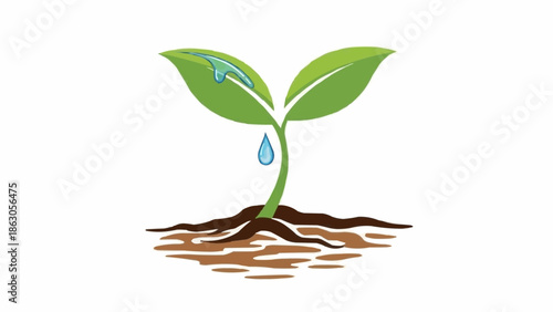 Young plant with water droplet on green leaves and soil.