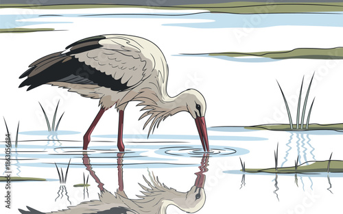 stork in water, drinking, cartoon style clip art preview