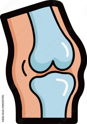 An illustration showing the internal structure of a human knee joint with bones and surrounding tissue