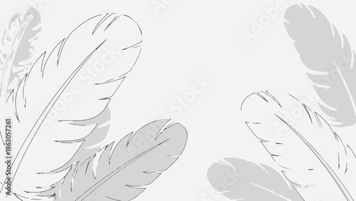 Delicate gray feathers with outlined details drift across a soft white background