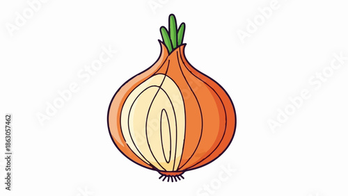 Cartoon-style illustration of an onion, cut in half to show its internal layers, on a white background