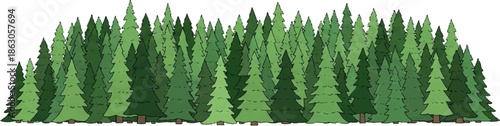 Dense forest of evergreen trees in various shades of green
