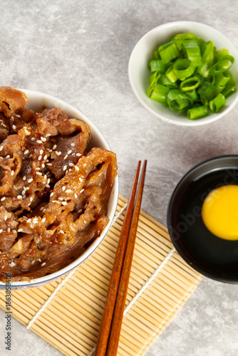 Wallpaper Mural Japanese gyudon beef bowl with sliced beef over rice, topped with sesame seeds, served with raw egg yolk, chopped scallions, and chopsticks on stone background. Torontodigital.ca