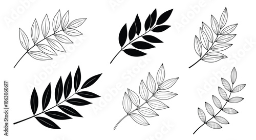 Set of several leaf branch illustrations in different artistic styles including line art, black silhouettes, and stippling.
