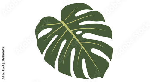 Single green monstera leaf with iconic holes isolated on a white background for tropical nature and plant themes.