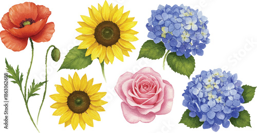 A vibrant collection of flowers including poppy, sunflower, rose, and hydrangea in full bloom