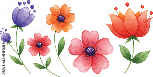 Vibrant collection of flowers in various colors and shapes displayed on a white background from a top-down viewpoint