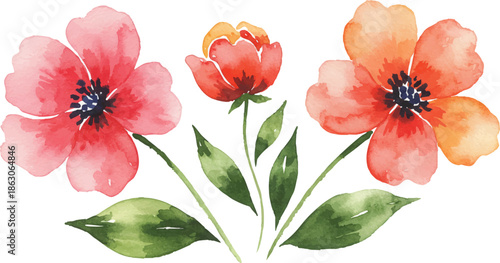 Vibrant flowers blooming in a lush garden scene from an overhead viewpoint