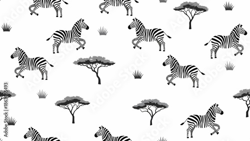 Black and White Zebras in Motion.