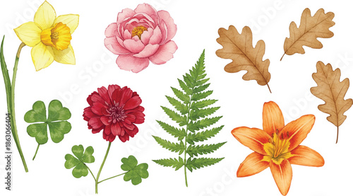 Diverse collection of flowers and leaves displayed on a white background