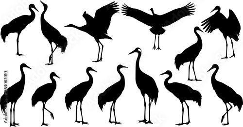 cranes bird sihouette black vector bundle 