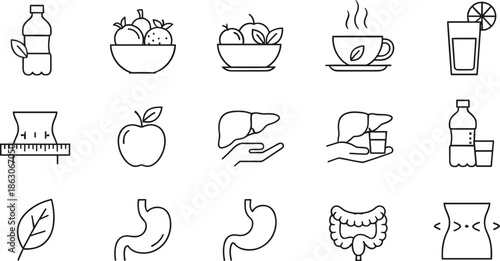 Complete healthy nutrition and digestive wellness line icons featuring organic fruits natural detox drinks human organ anatomy and weight management symbols