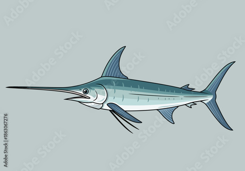 A blue marlin with a long bill swims with fins extended.