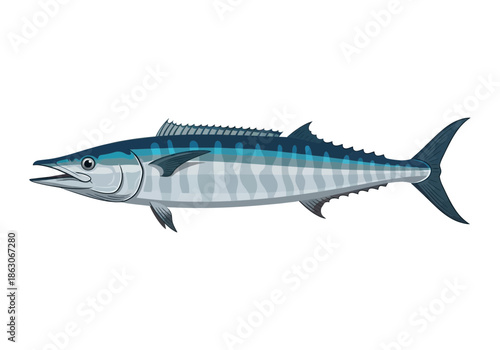 A blue and silver striped fish with sharp fins and a pointed snout.