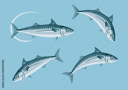Four mackerel fish swim in different positions.
