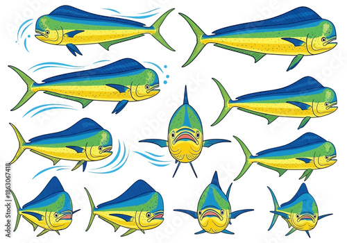 Multiple illustrations of colorful mahi-mahi fish in various poses.