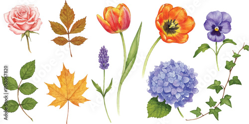 A collection of flowers and leaves illustrated in a watercolor style
