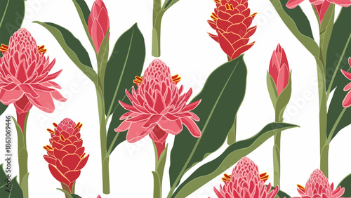 Vibrant Red Ginger Plants with Blooming Flowers.