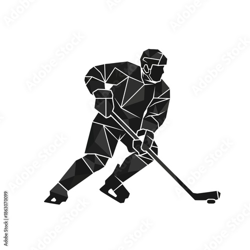 Photography Hockey player in action skate.