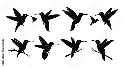 Silhouettes of hummingbirds in flight a graceful and dynamic avian display