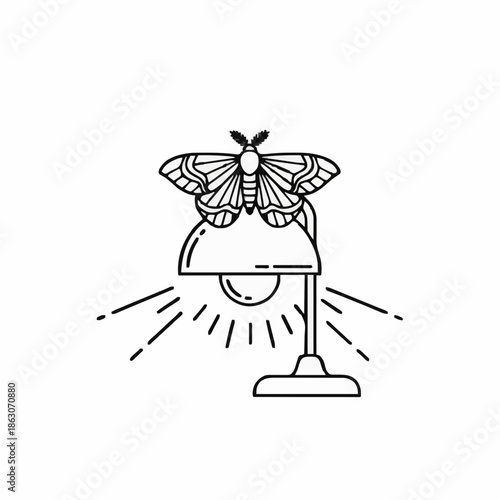 A moth flew into the light of a desk lamp. icon