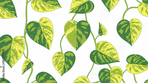 Pothos Plant Leaves Green Yellow Vines.