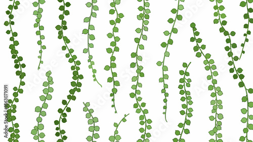 Trailing Vines with Green Leaves on White.