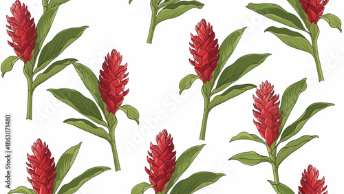 Red Celosia Argentea Plant with Green Leaves.