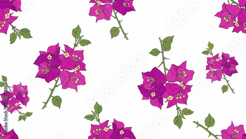 Bougainvillea Flowers Pattern with Green Leaves.