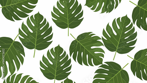 Monstera Leaves Pattern Tropical Foliage Plants.
